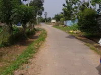 Agricultural Land for Sale in Nanjikottai, Thanjavur