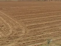  Agricultural Land for Sale in Tijara, Alwar