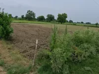 Agricultural Land for Sale in Chaumuhan, Mathura
