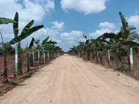  Agricultural Land for Sale in Balaji Nagar, Chennai