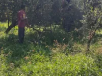  Agricultural Land for Sale in Bijbehara, Anantnag