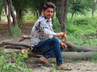  Agricultural Land for Sale in Kosi, Mathura