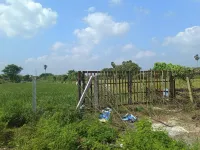 Agricultural Land for Sale in Kattankulathur, Chennai