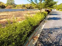  Residential Plot for Sale in Devanahalli, Bangalore