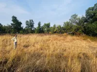  Agricultural Land for Sale in Kadamba Plateau, Goa