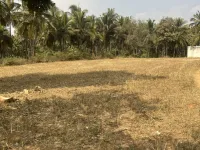  Agricultural Land for Sale in Hirehalli, Tumkur