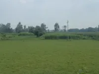  Agricultural Land for Sale in Dappar, Dera Bassi