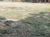  Agricultural Land for Rent in Bagnan, Howrah