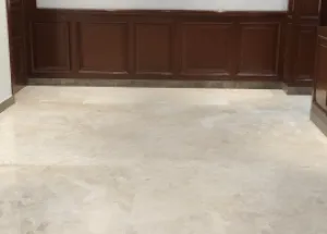 4 BHK Flats & Apartments for Sale in Vasant Kunj, Delhi