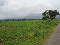  Agricultural Land for Sale in Bajpur, Udham Singh Nagar