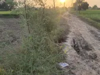  Agricultural Land for Sale in Gohana, Sonipat