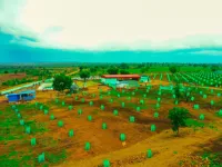  Agricultural Land for Sale in Sadasivpet, Sangareddy