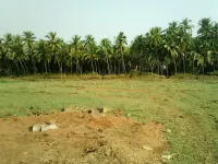  Agricultural Land for Sale in Shiroda, Goa