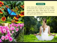  Residential Plot for Sale in Kotappakonda, Guntur