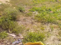  Residential Plot for Sale in Uppuluru, Vijayawada