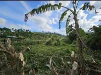  Residential Plot for Sale in Rangat, Andaman
