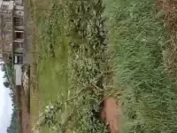  Residential Plot for Sale in Ketti, Ooty