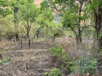  Agricultural Land for Sale in Mulshi, Pune
