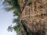  Agricultural Land for Sale in Tandur, Vikarabad