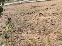 Agricultural Land for Sale in Bypass Road, Bhopal