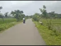  Agricultural Land for Sale in Mahabubabad, Warangal