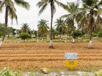  Residential Plot for Sale in Kaggalipura, Bangalore