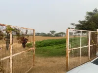  Agricultural Land for Rent in Binola, Gurgaon