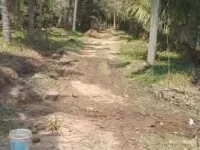  Agricultural Land for Sale in Devarkandanallur, Thiruvarur