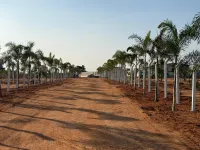  Residential Plot for Sale in Keesara, Hyderabad