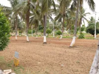  1200 Sq.ft. Residential Plot for Sale in Kaggalipura, Bangalore