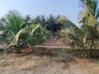  Agricultural Land for Sale in Periya Negamam, Coimbatore