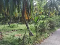  Agricultural Land for Sale in Agastheeswaram, Kanyakumari