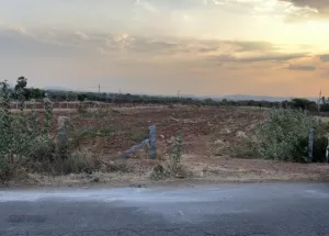 Agricultural Land for Sale in Hiriyur, Chitradurga