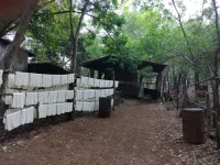  Agricultural Land for Sale in Kundapura, Udupi