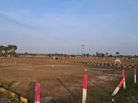 Residential Plot for Sale in Pulipakkam, Chengalpattu