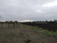  Agricultural Land for Rent in Theur Road, Pune