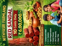 Agricultural Land for Sale in Ashok Nagar, Guntur