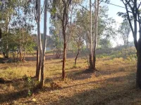 2 BHK Flat for Sale in Mallathahalli, Bangalore