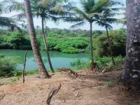  Agricultural Land for Sale in North Goa