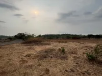 Agricultural Land for Sale in Neral, Raigad