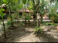 3 BHK Farm House for Sale in Kayamkulam, Alappuzha