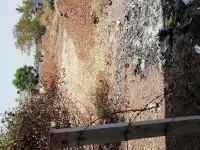  Residential Plot for Sale in Nashik Road