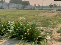  Residential Plot for Sale in Sector 70A Gurgaon