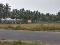  Residential Plot for Sale in Velanthavalam, Palakkad