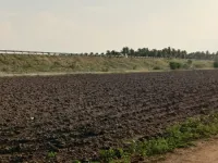  Agricultural Land for Sale in Udumalaipettai, Tirupur