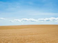  Residential Plot for Sale in Vandalur, Chennai