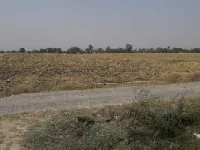  Agricultural Land for Sale in Chakia, Chandauli