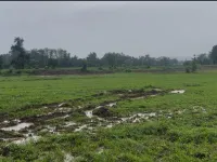  Industrial Land for Sale in Bardoli, Surat