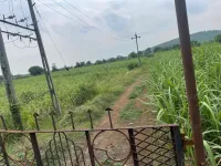 Agricultural Land for Sale in Bardoli, Surat