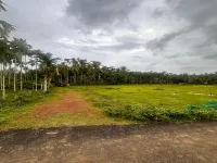  Residential Plot for Sale in Kanhangad, Kasaragod